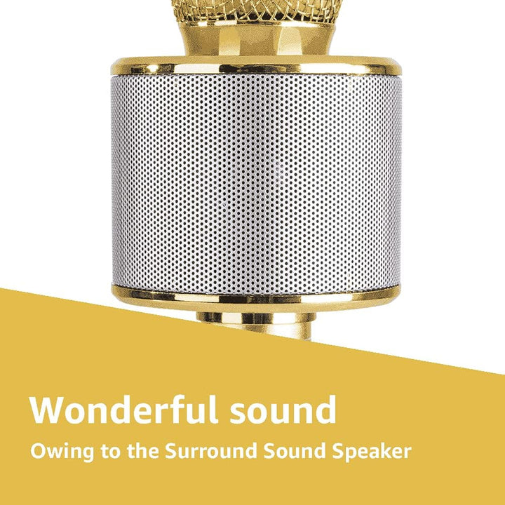 MAX KM01 Bluetooth Karaoke Mikrofon mit Lautsprecher, USB, Micro SD, MP3-Player, Mikro mit Echo, Sti