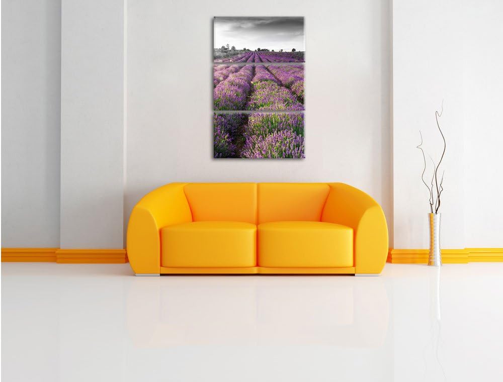 Pixxprint Lavendelfelder in der Provence als Leinwandbild/Grösse: 3 Teilig (120x80) cm/Wandbild/Kuns