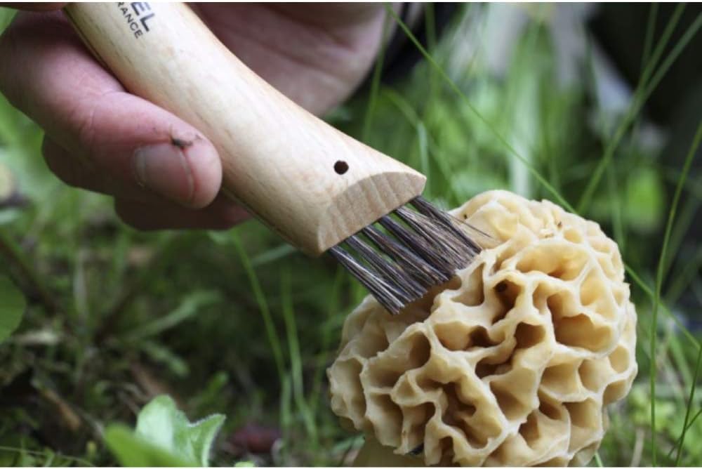 Opinel Pilzmesser, Sandvik-Stahl, Buchenholz, Wildschweinborsten