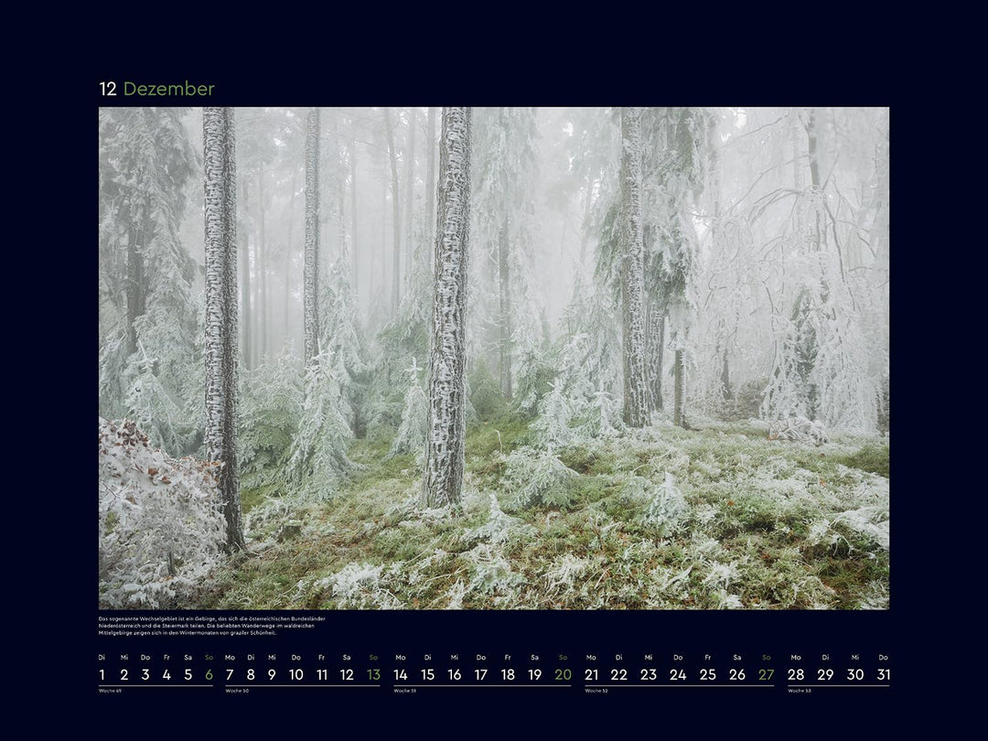 Magische Wälder der Erde - KUNTH Wandkalender 2026: Hochwertiger, bildstarker Kalender mit Spiralbin