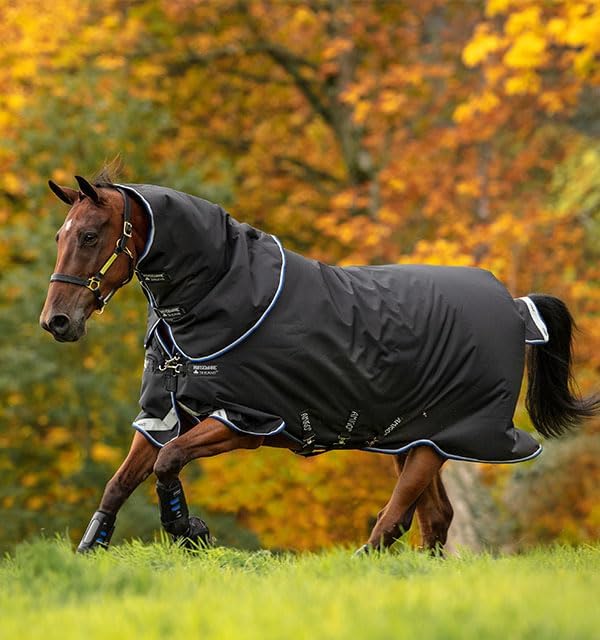 Horseware Amigo Bravo 12 Plus MittlereWahlbeteiligung Teppich 130cm Black/Blue & Black