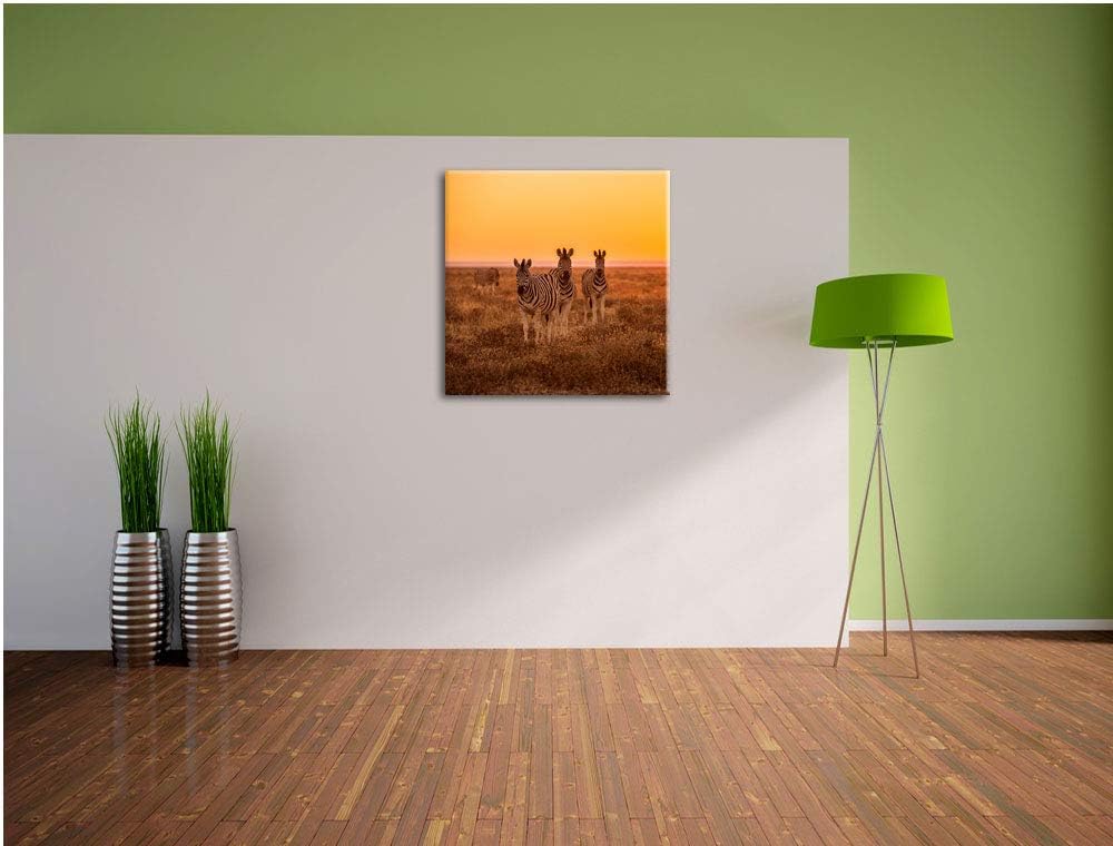 Zebra in der Savanne, Format: 70x70 auf Leinwand, XXL riesige Bilder fertig gerahmt mit Keilrahmen,