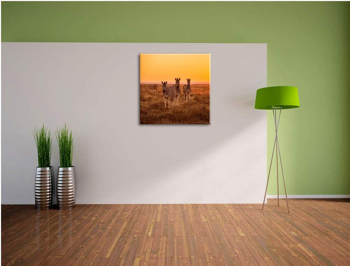 Zebra in der Savanne, Format: 70x70 auf Leinwand, XXL riesige Bilder fertig gerahmt mit Keilrahmen,