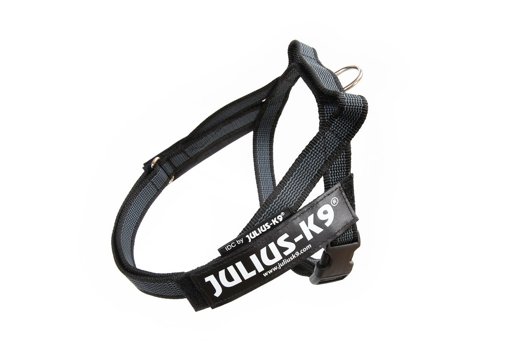 Julius-K9, Color & Gray, Beltgeschirr XS / Mini-Mini schwarz-grau, XS / Mini-Mini schwarz-grau
