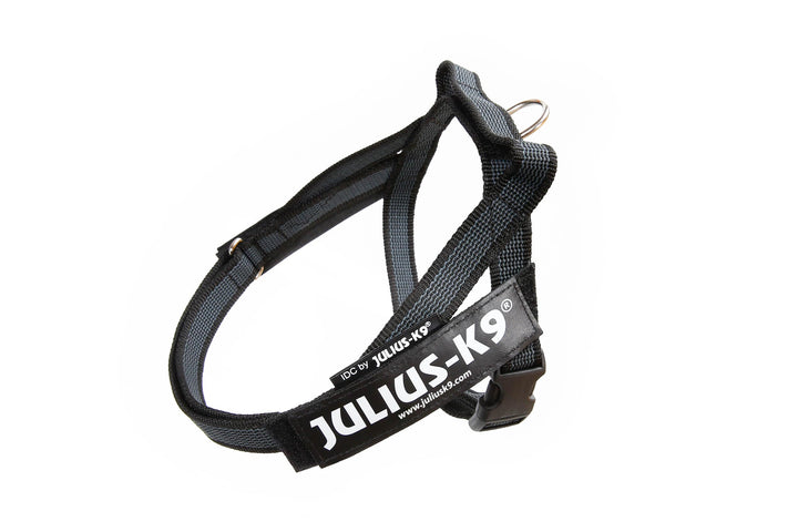 Julius-K9, Color & Gray, Beltgeschirr XS / Mini-Mini schwarz-grau, XS / Mini-Mini schwarz-grau