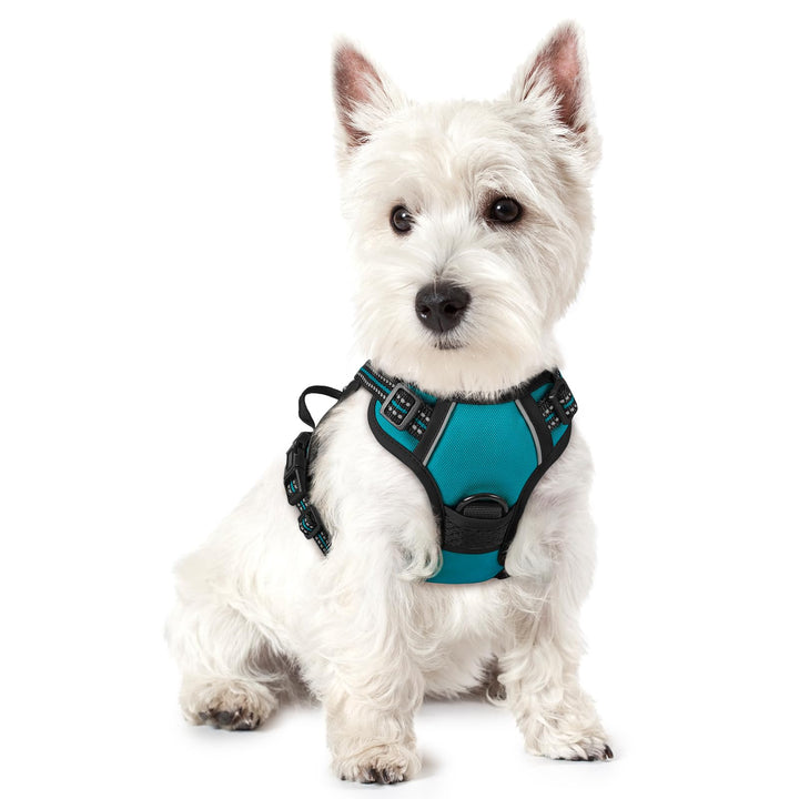 rabbitgoo Hundegeschirr Kleine Hunde, Anti Zug Geschirr mit Kontrolle, No Pull Verstellbar Hundegesc