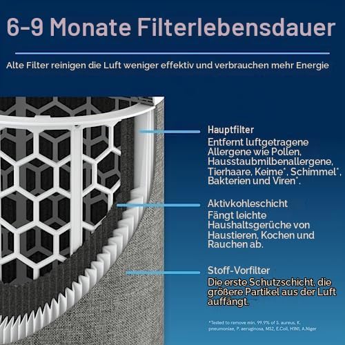 Blueair Blue Pure 211i Max Original-Ersatzfilter, Blue Pure F2MAX, passend für Blue Pure 211i Max Lu