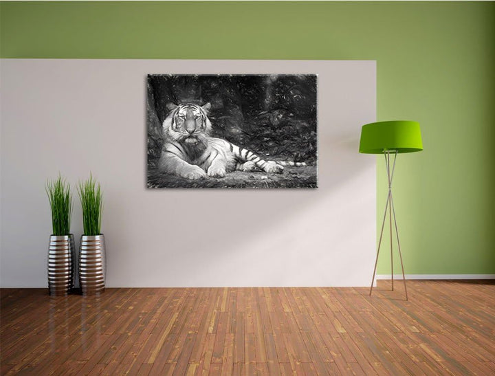 Liegender Tiger Deluxe Format: 100x70 cm auf Leinwand, XXL riesige Bilder fertig gerahmt mit Keilrah