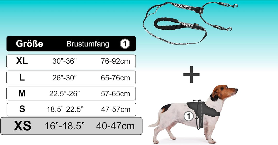 ACARAPETS Hundegeschirr und Leine, 3 Ringe, gepolstert und atmungsaktiv, mit elastischer Bifida-Lein