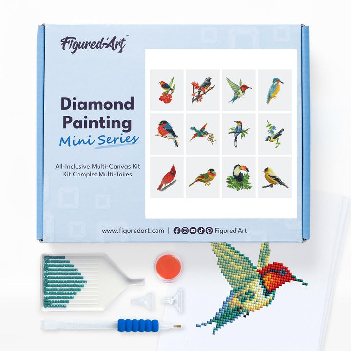 Figured'Art Mini Serie Diamond Painting Erwachsene - Buntes Vogelparadies - Premium-Box mit 12 Stück