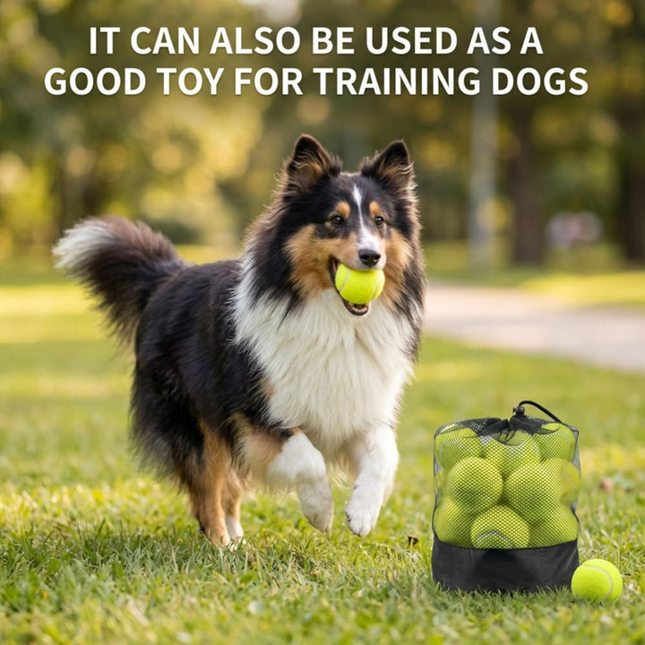 Tebery 20 Stück Tennisbälle mit Mesh-Tragetasche, Tennis Training Übungsbälle Hundespielzeug Spielbä