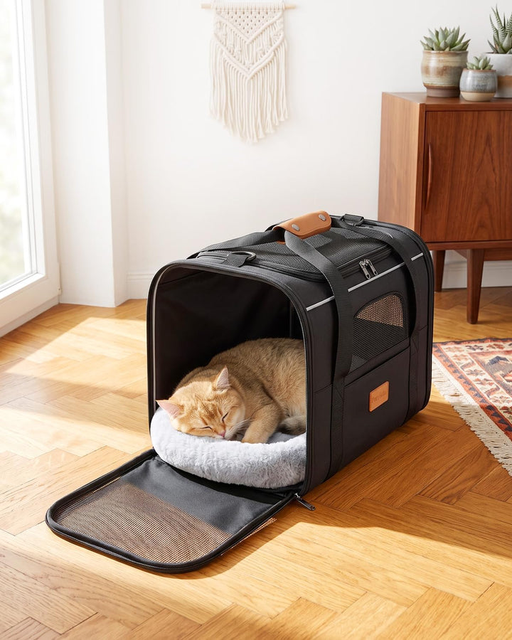 Katzentransporttasche faltbar bis 10 kg – Stabile Transportbox für Katzen &amp; kleine Hunde mit Stahlra