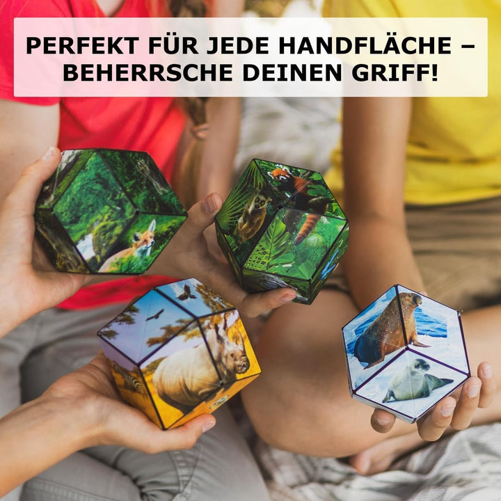 Shashibo Formwechsel-Box – Preisgekrönter, patentierter Zappelwürfel mit 36 Seltenerdmagneten – läss