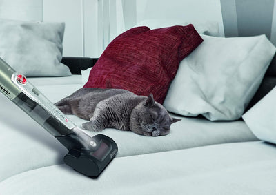 Hoover Handstaubsauger mit Tierhaar-Düse für Auto, Polster, Tisch – leichter & kraftvoller Handsauge