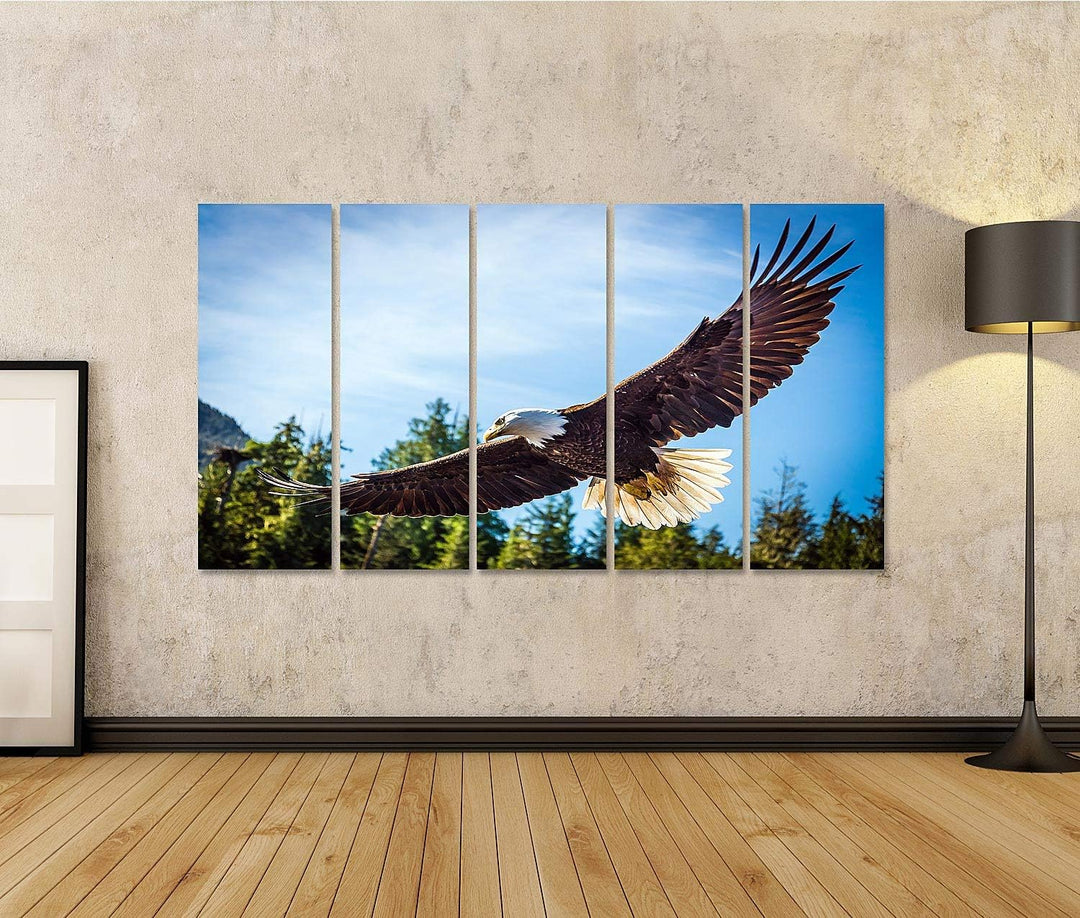 islandburner Bild auf Leinwand Nordamerikanischer Weisskopfseeadler Im Flug Bilder Wandbilder Poster