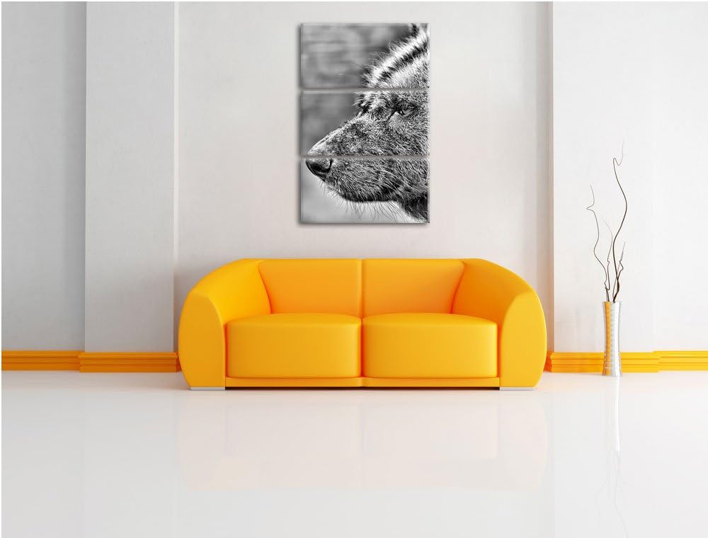 Pixxprint Hyäne im Seitenprofil als Leinwandbild/Grösse: 3 Teilig (120x80) cm/Wandbild/Kunstdruck/fe