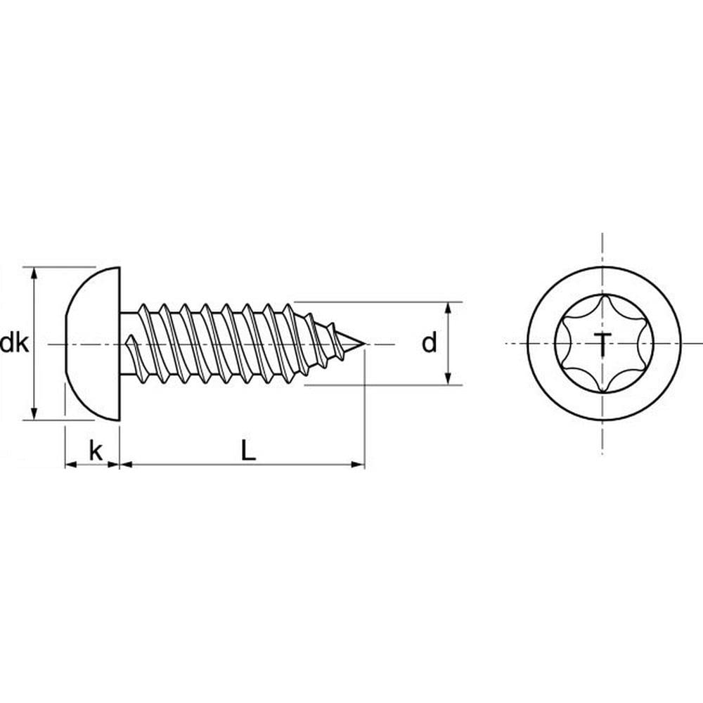 200 X Flachkopf Blechschrauben mit Innensechsrund ISO 14585 A2 C 6.3X100 TX30 6.3 x 100 200, 6.3 x 1