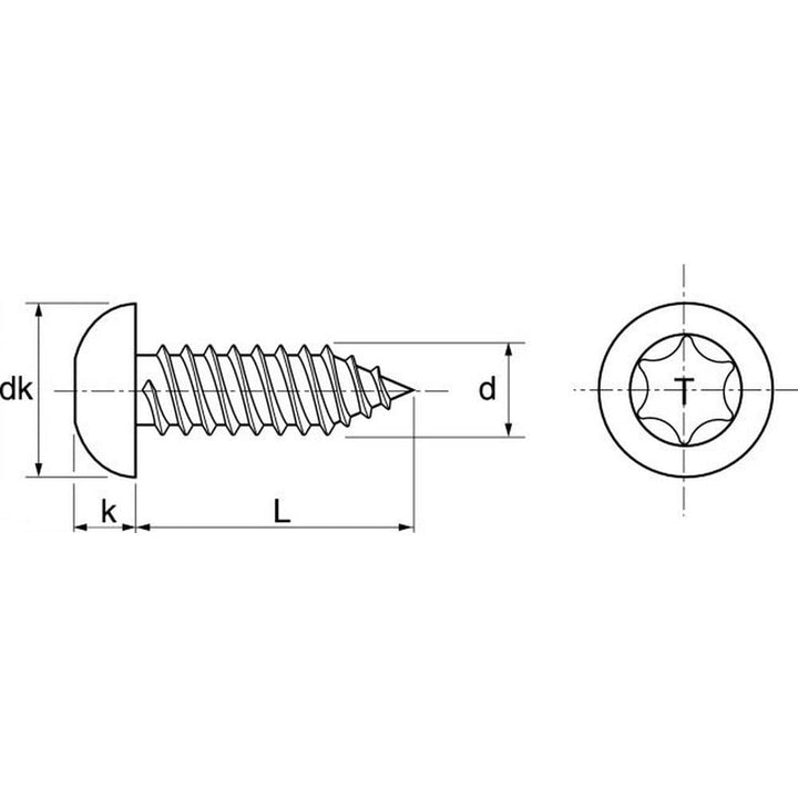 200 X Flachkopf Blechschrauben mit Innensechsrund ISO 14585 A2 C 6.3X100 TX30 6.3 x 100 200, 6.3 x 1