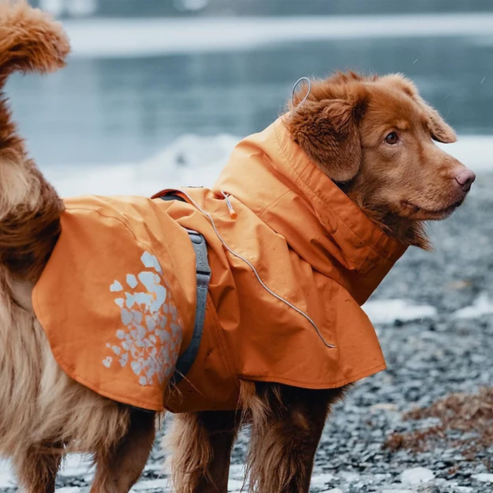 Hurtta Monsoon Hunde-Regenmantel, Sanddorn, 50,8 cm Sanddorn 20 in, Sanddorn 20 in