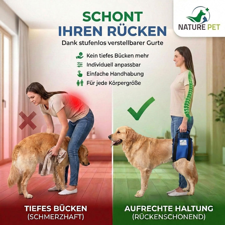 Tragehilfe Hund hinten - Ideal für ältere, kranke oder operierte Hunde - Diese Treppenhilfe für Hund