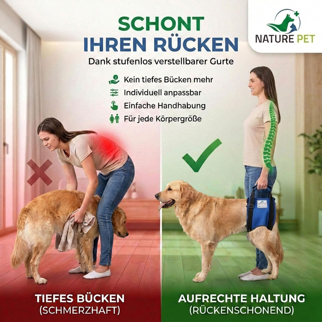 Nature Pet © - Tragehilfe Hund hinten - Verstellbarer Hunde Tragegurt als Treppenhilfe - Ideal für ä
