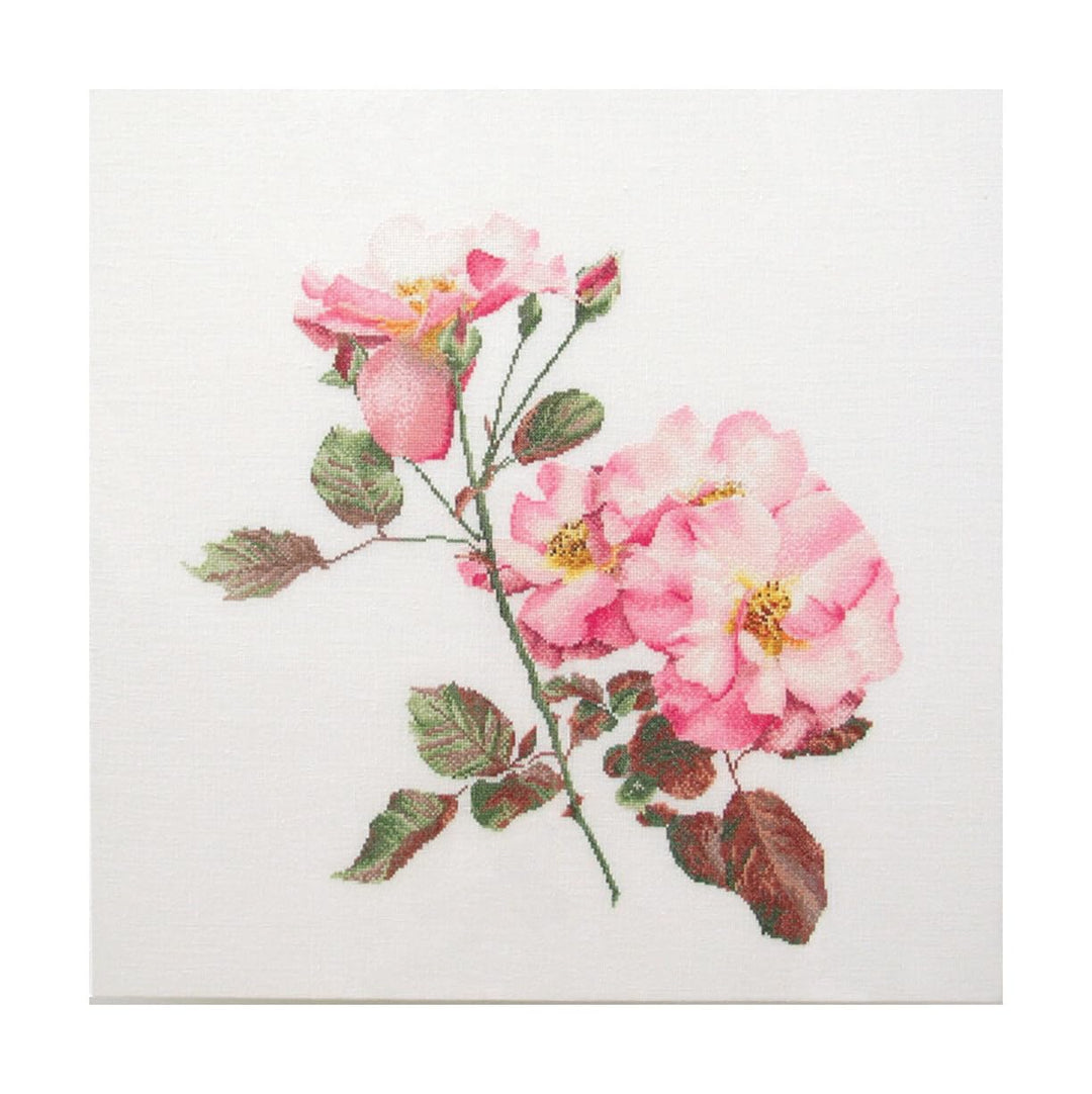 Thea Gouverneur - Kreuzstich-Set - Rosa Leersum - Aida - 18 Count - Für Erwachsene - 412A 412A White