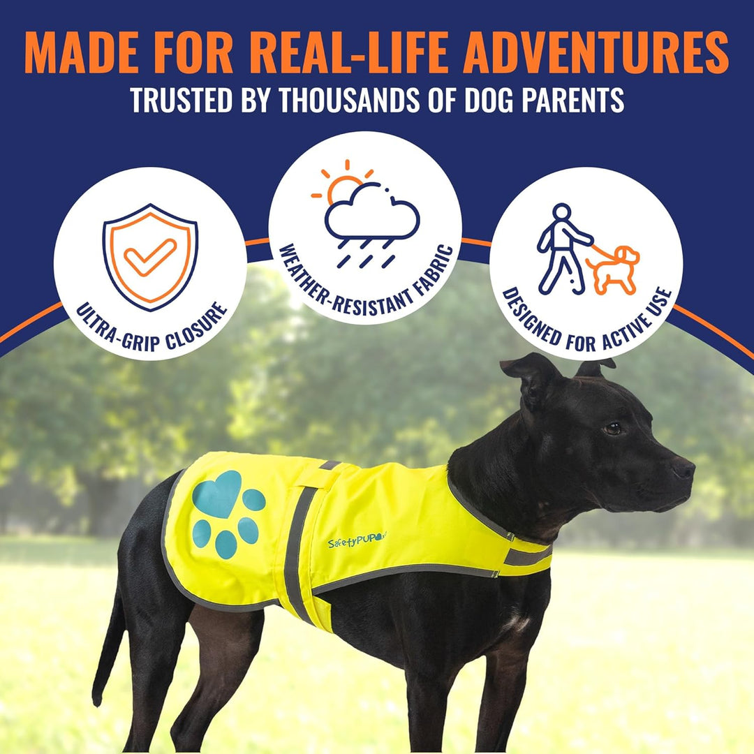 SafetyPUP XD Hund Warnweste, Grössen passen Hunde 14 lbs bis 130 lbs Neon Gelb Mittel Mittel Neon Ge