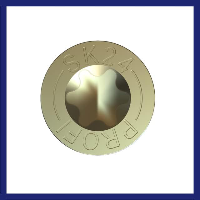 Spanplattenschraube PROFI Senkkopf verzinkt rostgeschützt - SPL PROFI SK VZ TORX - 3,0 x 40 (300 Stü