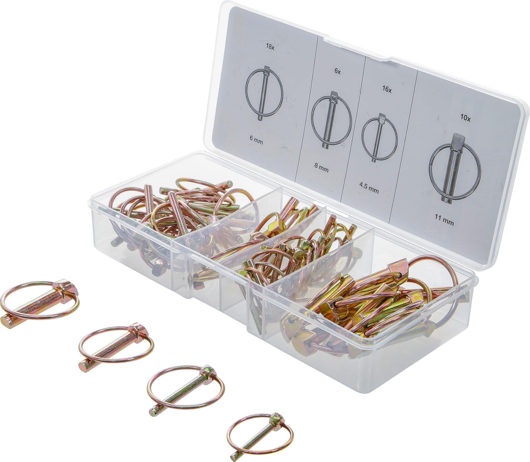 BGS 8087 | Klappsplinte-Sortiment | 50-tlg. | Klappstecker | verzinkt | 4,5 - 6 - 8 - 11 mm Single,