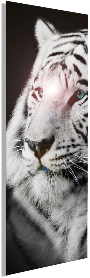 artissimo, Glasbild, 30x80cm, AG4101A, Tiger, Bild aus Glas hochkant, moderne Wanddekoration aus Gla