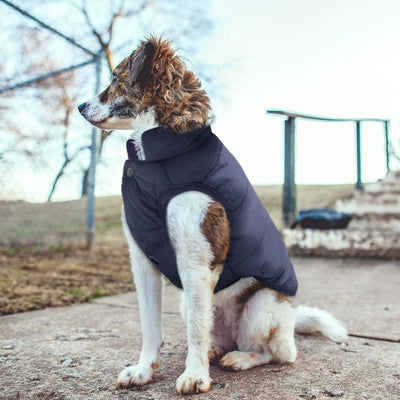 PETCUTE Hundemantel Hundebekleidung,Wintermantel,Haustier Kleidung Hundejacke für Kleine Mittlere Gr