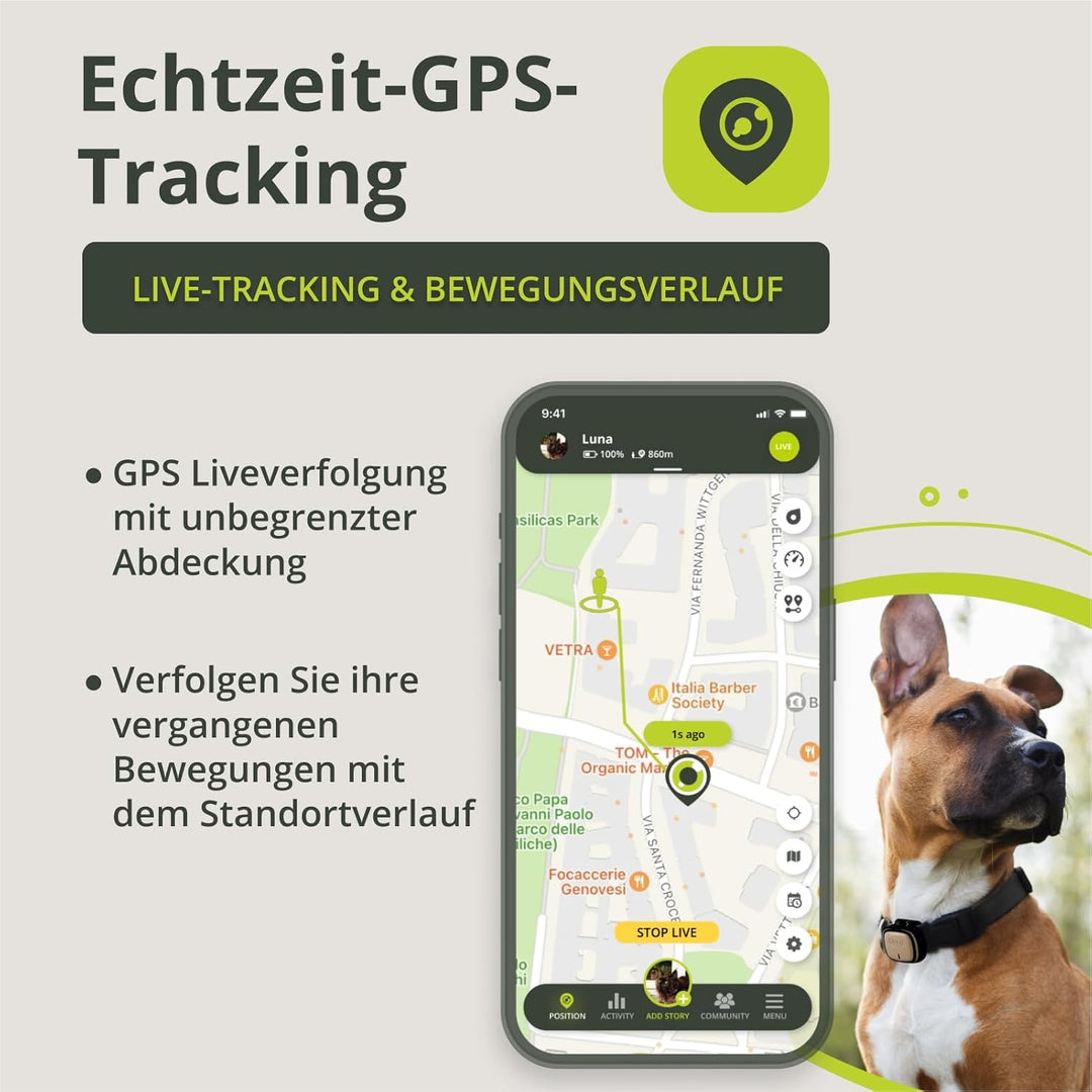 Kippy – GPS Tracker Halsband Evo für Hunde und Katzen – Gesundheits- und Aktivitäts-Tracker – GPS Tr