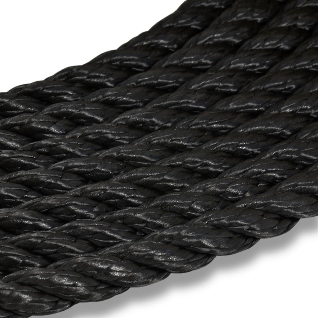 corderie Italiane 6004196 hawser-00 10 mm x 30 m schwarz