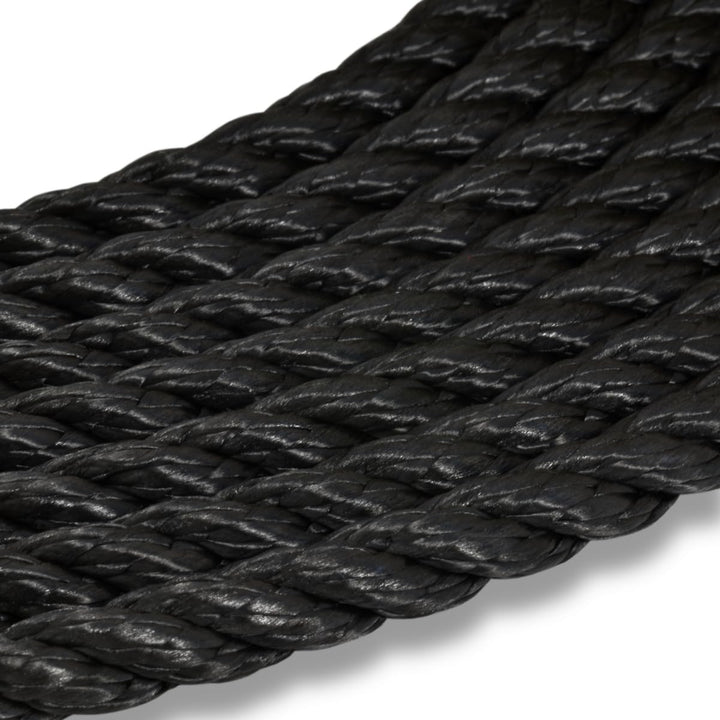 corderie Italiane 6004196 hawser-00 10 mm x 30 m schwarz