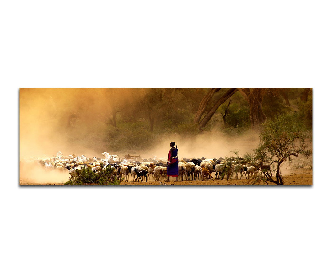 Paul Sinus Art Panoramabild auf Leinwand und Keilrahmen 150x50cm Afrika Hirte Schafherde Bäume Nebel