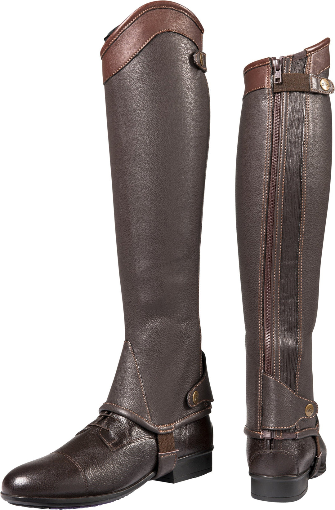 EQUI-THÈME „Elite“ Mini-Chaps Havana XS, Havana XS