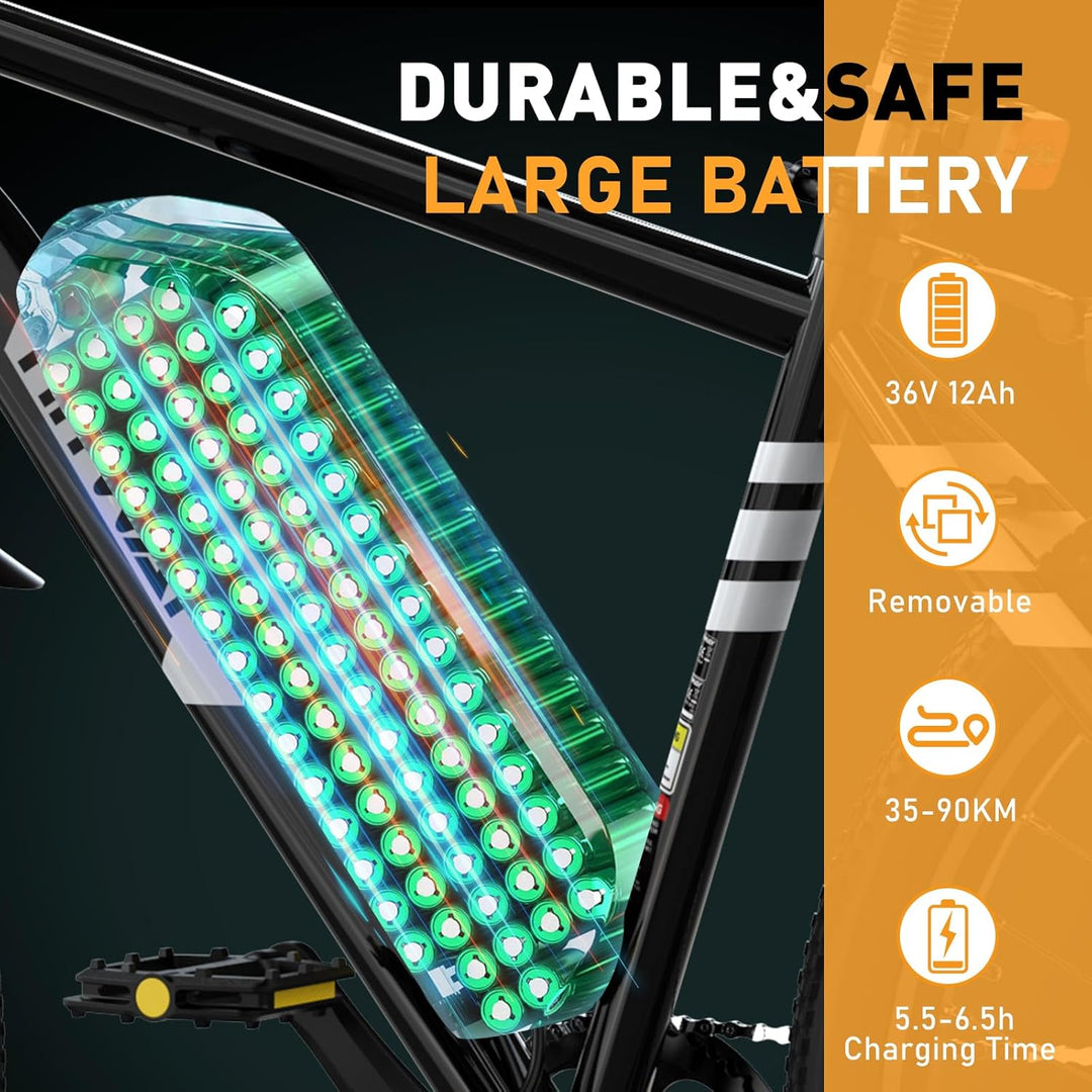 HITWAY E Bike Elektrofahrrad E-Mountainbike, 26" E-Fahrrad, StVZO Pedelec, 250W Motor 36V12Ah abnehm