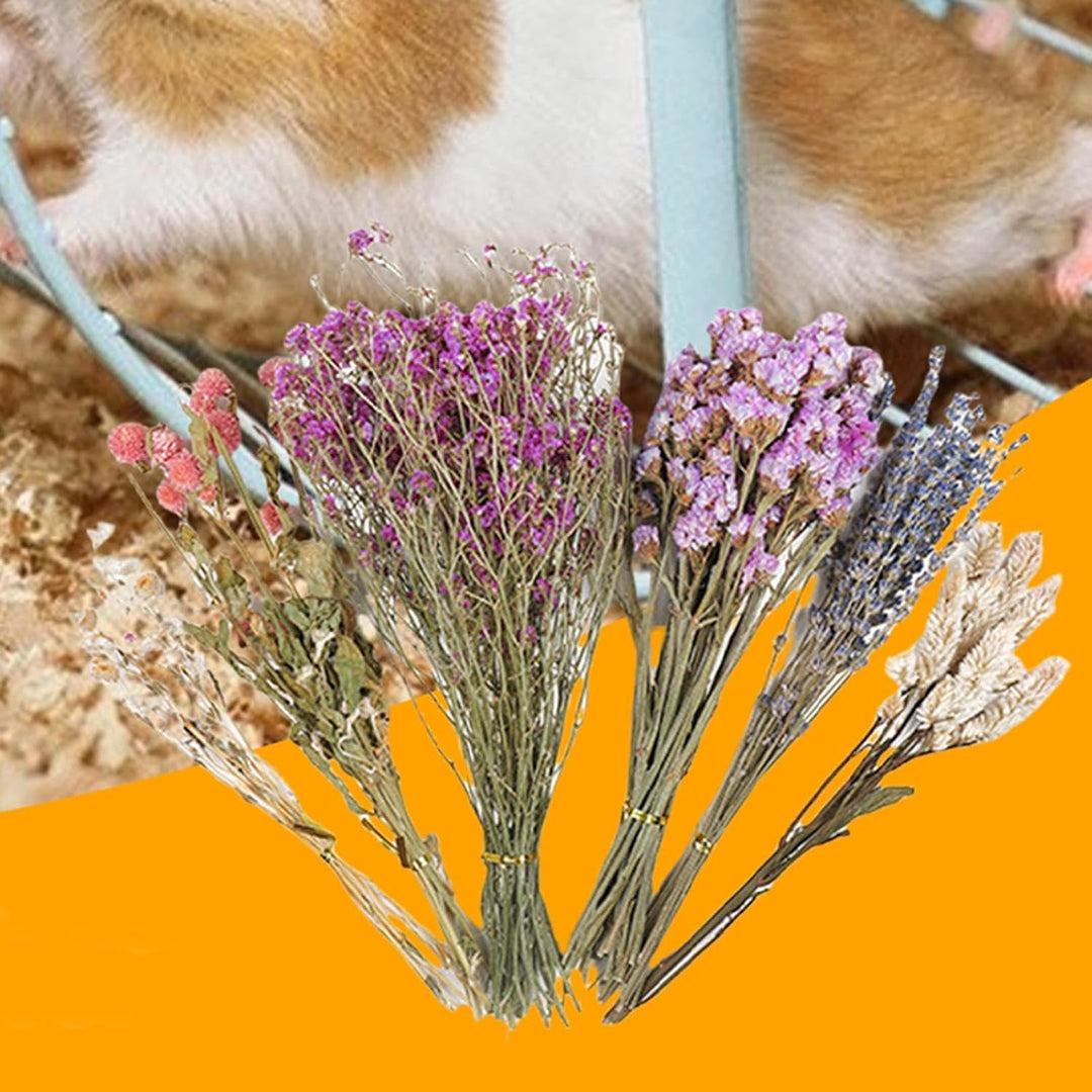 Trockenblumen-Bettwäsche für Hamster, natürliche Hamster-Bettwäsche, Kleintierblumen, Lebensraum-, L