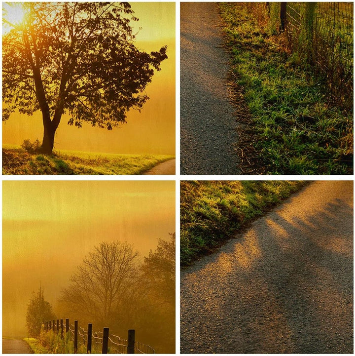 Bilder auf Leinwand Feld Strasse Baum Leinwandbild mit Rahmen 70x50cm Wandbilder Dekoration Wohnzimm