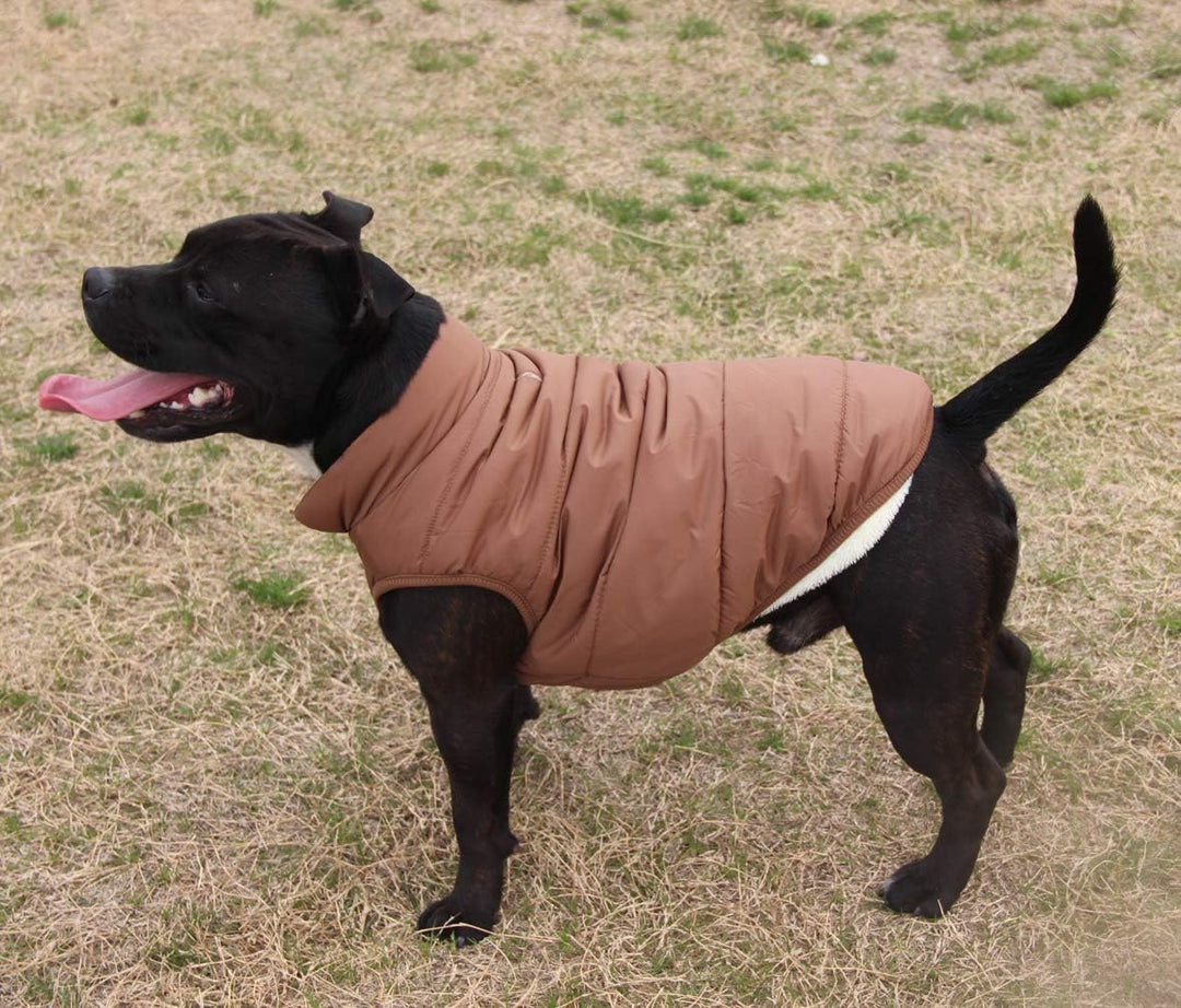 JoyDaog 2-lagige mit Fleece gefütterte Hundejacke, sehr warm für Winter und kaltes Wetter, extraweic