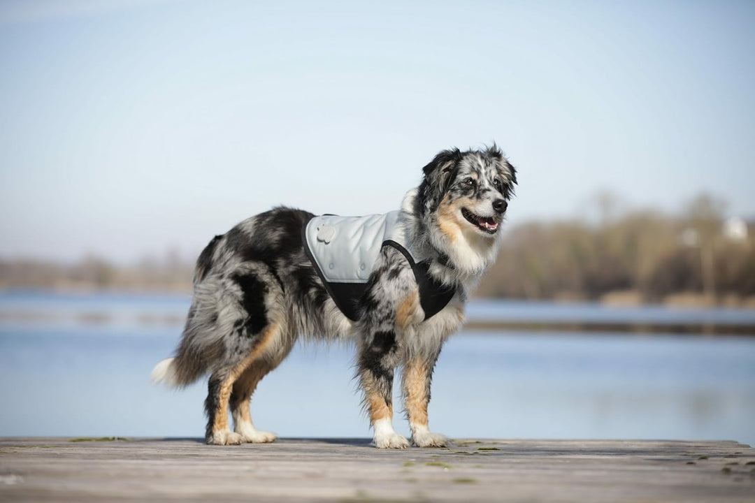 cani.cool Kühlweste Hunde, Grösse M, silber, M
