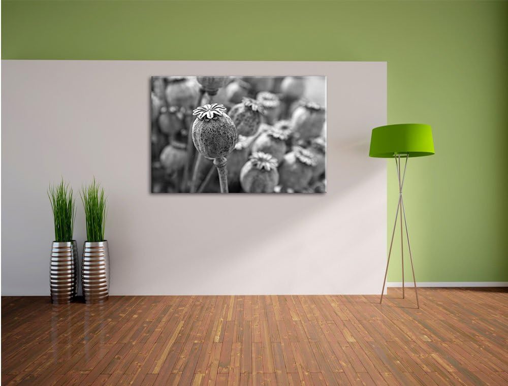 Pixxprint Mohnkapsel der Mohnblume Kunst B&W als Leinwandbild/Grösse: 100x70 / Wandbild/Kunstdruck/f