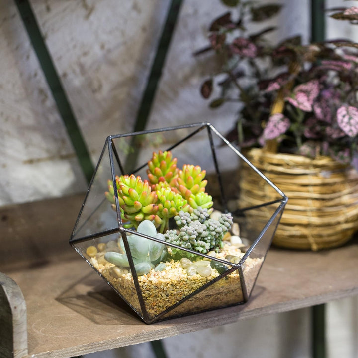 NCYP Handmade Blumentopf,Gemoetrisches Glasterrarium, dreieckig, in Form Einer Halbkugel, für Balkon