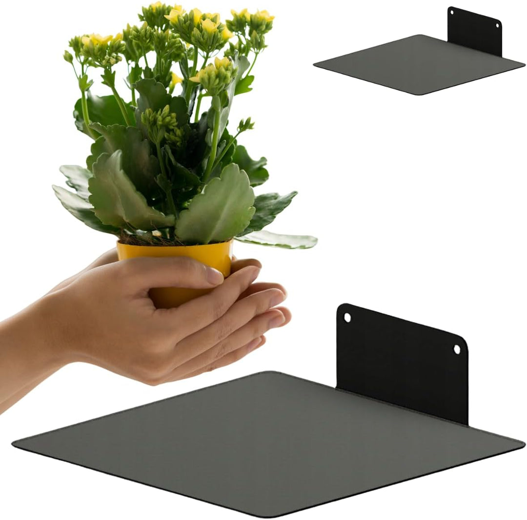 Blumenregal für die Wand Schwarze Metall Quadratische Wandregal 24x24 cm für Blumen Blumentöpfe und