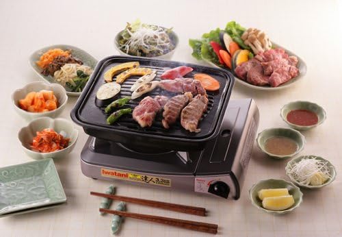 Iwatani Roast Grill CB-P-GM