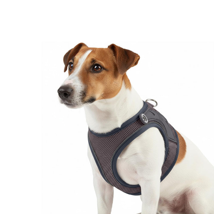 Max & Molly Hundegeschirr Matrix 2.0 Stone/XXL als Air Vest Geschirr, Step-In Geschirr mit Gotcha! S