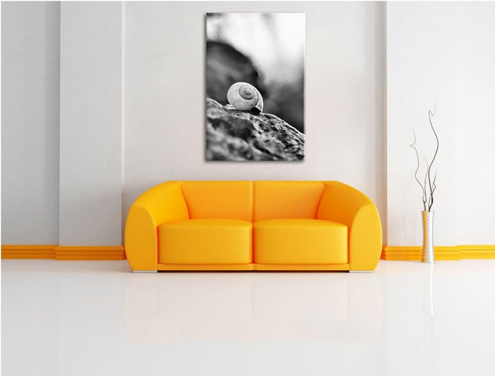 Pixxprint kleine Schnecke auf Stein als Leinwandbild | Grösse: 100x70 cm | Wandbild | Kunstdruck | f
