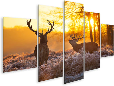 islandburner Bild auf Leinwand Zwei Rehe In Morgensonne Bilder Wandbilder Poster Leinwand 170x80cm -