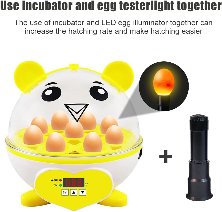 PAIDUOJI Home Use 9 Eier Inkubator Automatische Temperaturregelung Digitale Mini-Eierbrut Automatisc