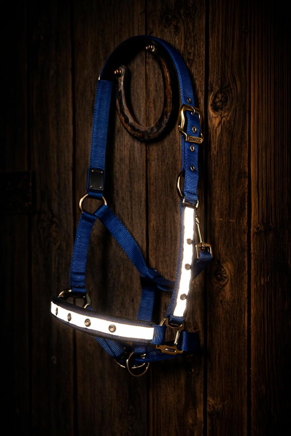 Reinecke Equestrian Premium Leuchthalfter Reflexhalfter Sicherheitshalfter Stallhalfter Weidehalfter